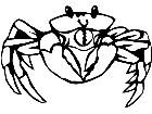  Crab 1 4 0 V A 1 Decal