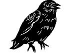  Crow 1 3 9 V A 1 Decal