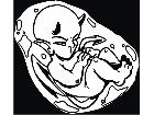  Devil Embryo 0 1 Decal
