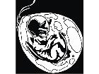  Devil Embryo 0 2 Decal