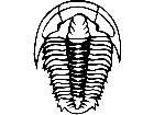  Dinosaurs Trilobite 1 3 5 V A 1 Decal