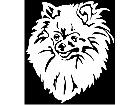  Dog Pomeranian Decal