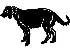  Dog 1 3 9 V A 1 Decal