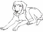  Dog 1 4 5 V A 1 Decal