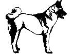  Dogs Akita 1 3 6 V A 1 Decal