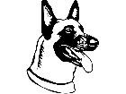  Dogs Belgian Malinois 0 3 D R P A 1 Decal