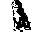 Dogs Bernese Mountain Dog 0 1 D R P A 1 Decal