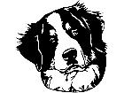  Dogs Bernese Mountain Dog 0 2 D R P A 1 Decal