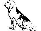  Dogs Bloodhound 0 3 D R P A 1 Decal