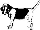  Dogs Bloodhound 1 3 7 V A 1 Decal