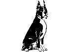  Dogs Boxer D R P A 1 Decal