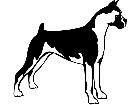  Dogs Boxer 1 3 6 V A 1 Decal
