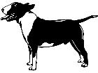  Dogs Bull Terrier 0 1 P A 1 Decal