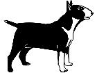  Dogs Bull Terrier 1 3 6 V A 1 Decal