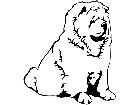  Dogs Chow D R P A 1 Decal