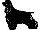  Dogs Cocker Spaniel 1 3 6 V A 1 Decal