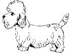  Dogs Dandie Dinmont Terrier 1 3 7 V A 1 Decal
