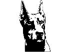  Dogs Doberman D R P A 1 Decal