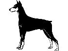  Dogs Doberman Pinscher 1 3 7 V A 1 Decal