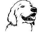  Dogs Golden Retreiver 0 1 P A 1 Decal