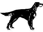  Dogs Gordon Setter 1 3 7 V A 1 Decal