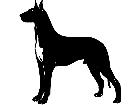  Dogs Great Dane 1 3 6 V A 1 Decal