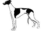  Dogs Greyhound 1 3 6 V A 1 Decal