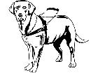  Dogs Guide Dog T G P A 1 Decal