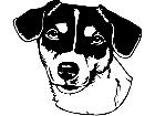  Dogs Jack Russell 0 1 D R P A 1 Decal