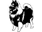  Dogs Keeshond 1 3 6 V A 1 Decal