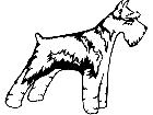  Dogs Miniature Schnauzer 1 3 6 V A 1 Decal