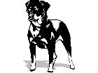  Dogs Rottweiler 0 2 D R P A 1 Decal
