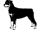  Dogs Rottweiler 1 3 6 V A 1 Decal