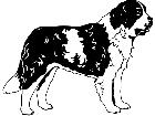  Dogs Saint Bernard 1 3 7 V A 1 Decal