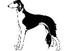  Dogs Saluki 1 3 7 V A 1 Decal