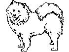  Dogs Samoyed P A 1 Decal