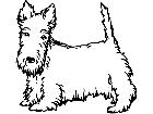  Dogs Scottish Terrier 0 2 P A 1 Decal