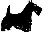  Dogs Scottish Terrior 1 3 6 V A 1 Decal