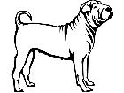  Dogs Shar Pei P A 1 Decal