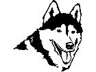  Dogs Siberian Husky 0 2 P A 1 Decal