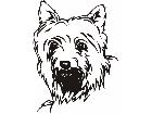  Dogs Silky Terrier P A 1 Decal