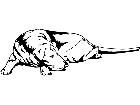  Dogs Sleeping Dog T G P A 1 Decal