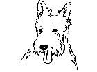  Dogs West Highland Terrier P A 1 Decal