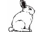  Domestic Animals Bunny P A 1 Decal