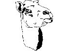  Domestic Animals Camel Face T G P A 1 Decal