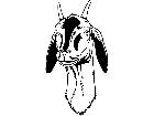  Domestic Animals Goat Face T G P A 1 Decal