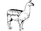 Domestic Animals Llama T G P A 1 Decal