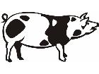  Domestic Animals Pig 0 1 P A 1 Decal