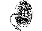  Dragon Circle M B 1 Decal