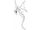  Dragon Flying 2 0 4 Decal